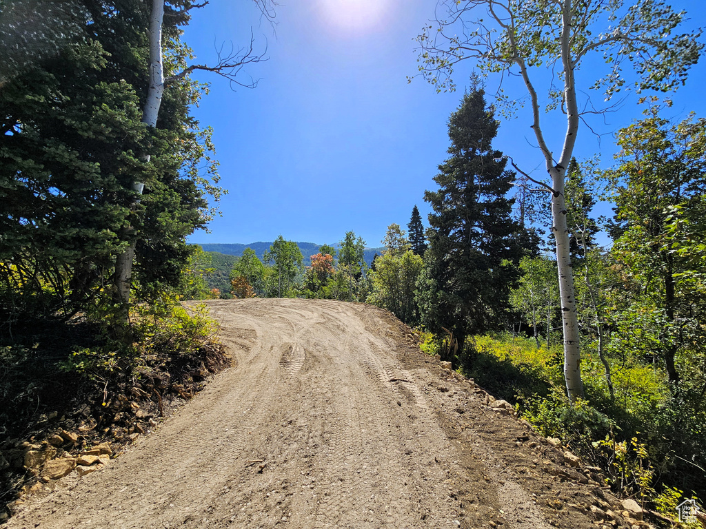3940  DEER VALLEY DR Fairview, UT 84629