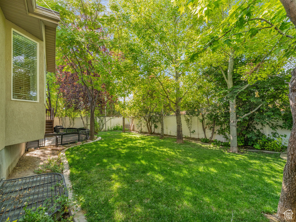 View of fenced backyard