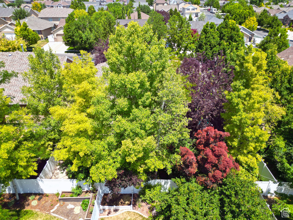Aerial perspective of suburban area