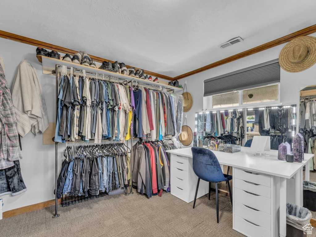 Spacious closet featuring carpet floors