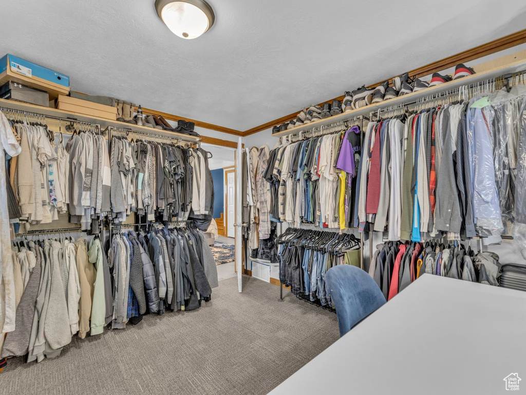 Walk in closet featuring carpet
