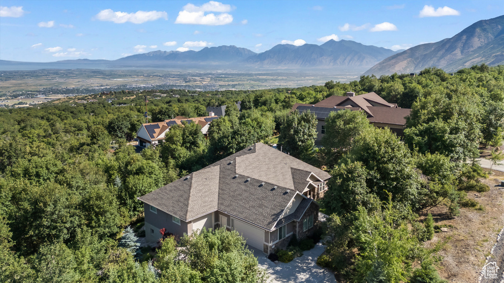 1155 S EAGLE NEST DR Woodland Hills, UT 84653