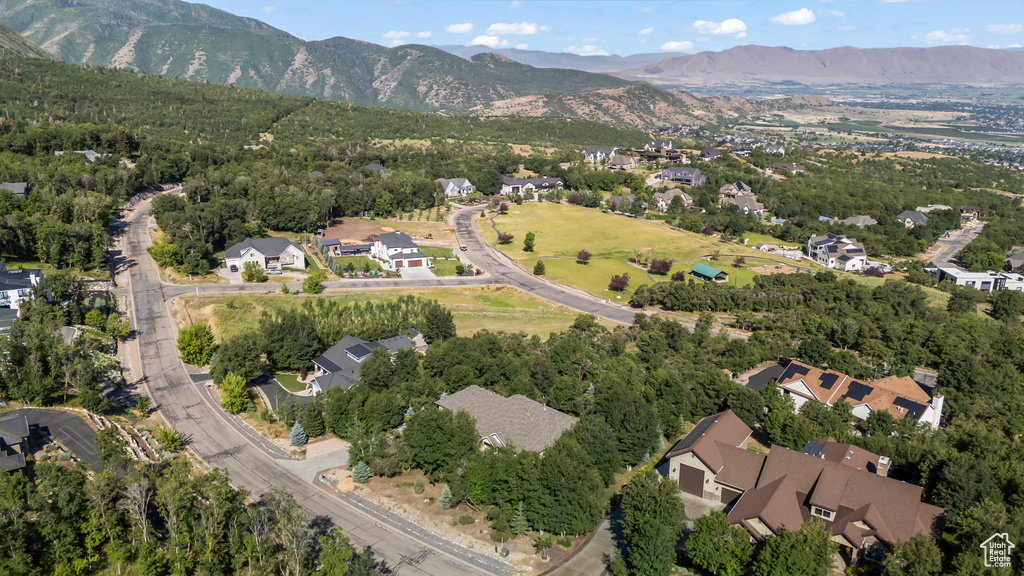 1155 S EAGLE NEST DR Woodland Hills, UT 84653