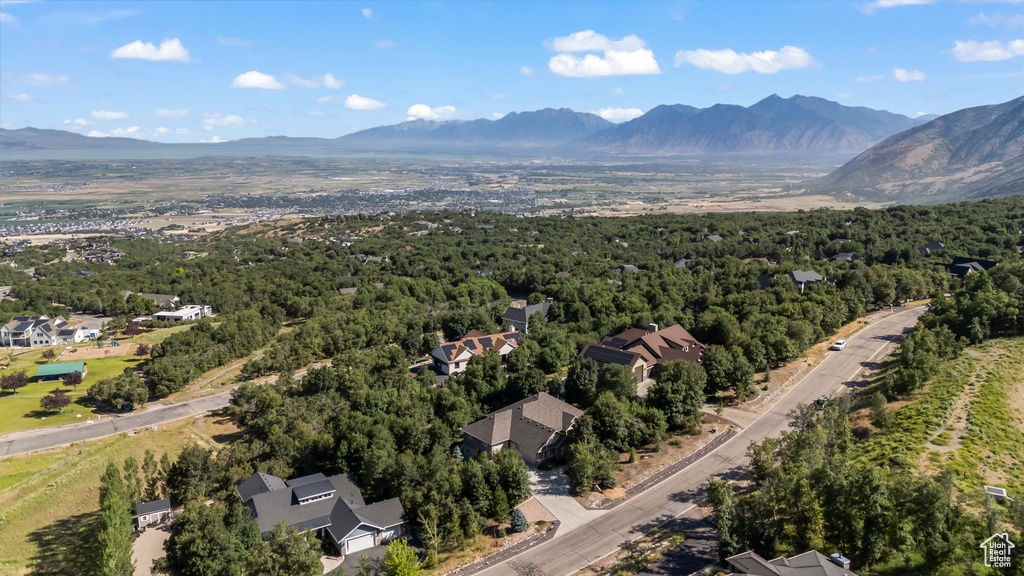 1155 S EAGLE NEST DR Woodland Hills, UT 84653