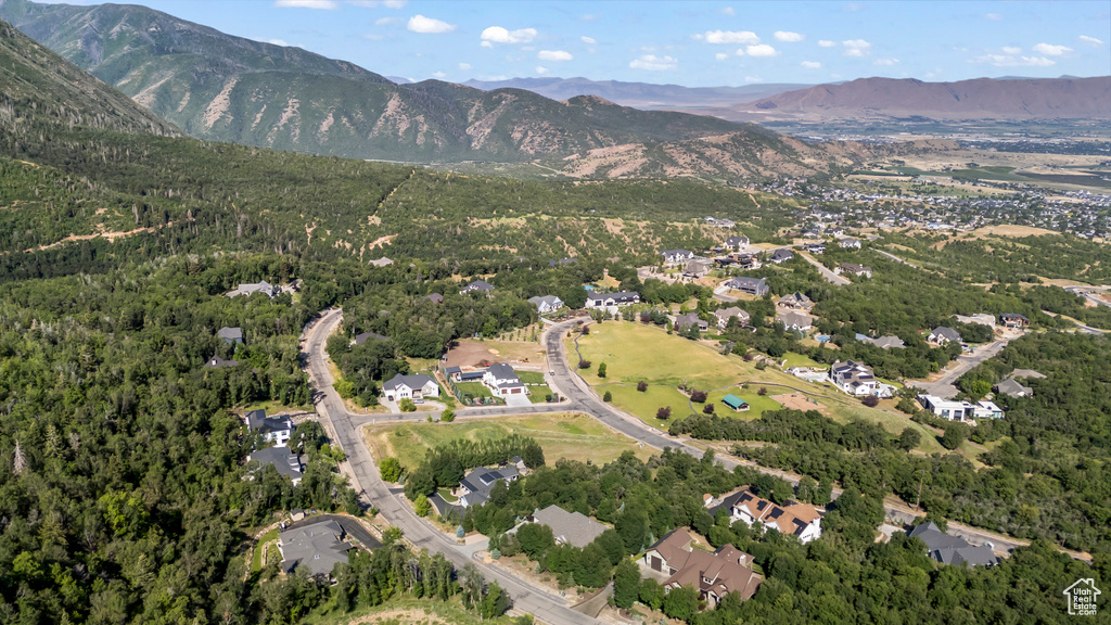 1155 S EAGLE NEST DR Woodland Hills, UT 84653