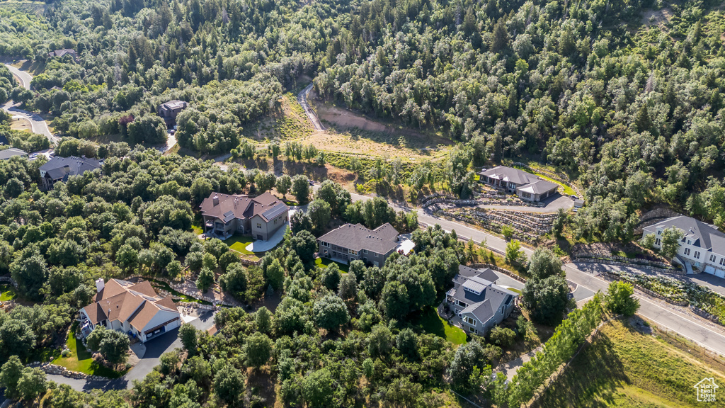 1155 S EAGLE NEST DR Woodland Hills, UT 84653