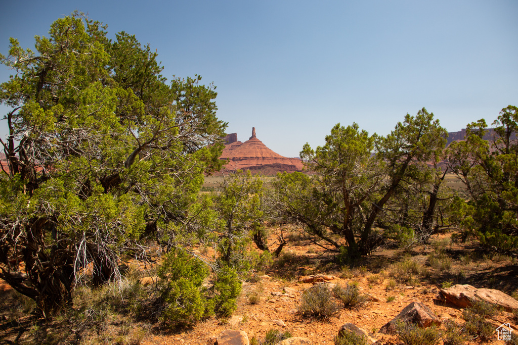 343  TAYLOR LN Castle Valley, UT 84532