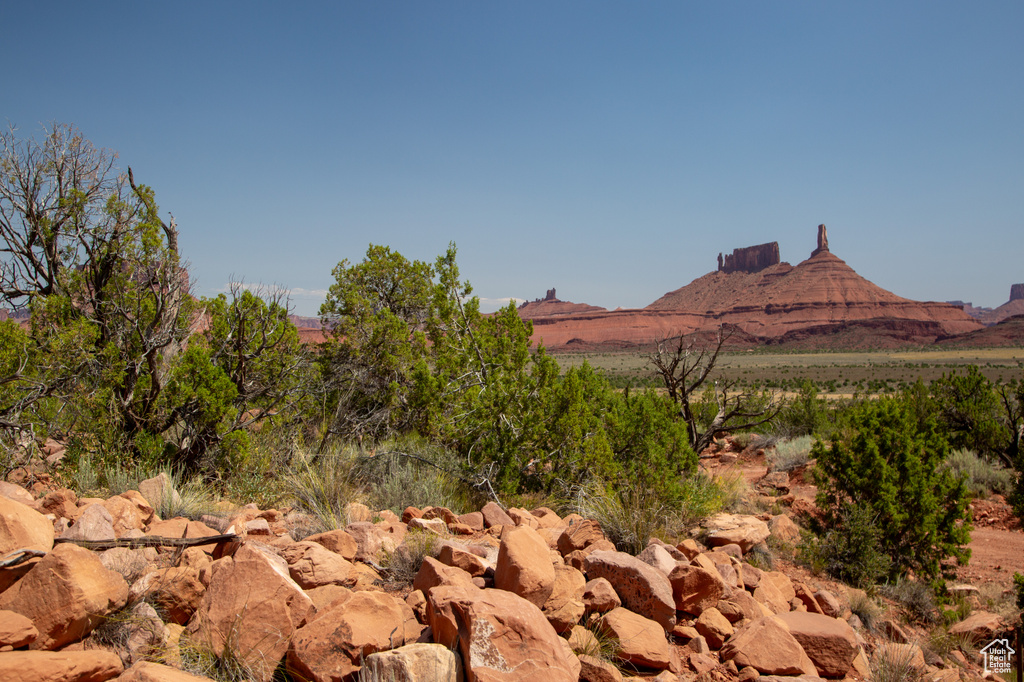 343  TAYLOR LN Castle Valley, UT 84532