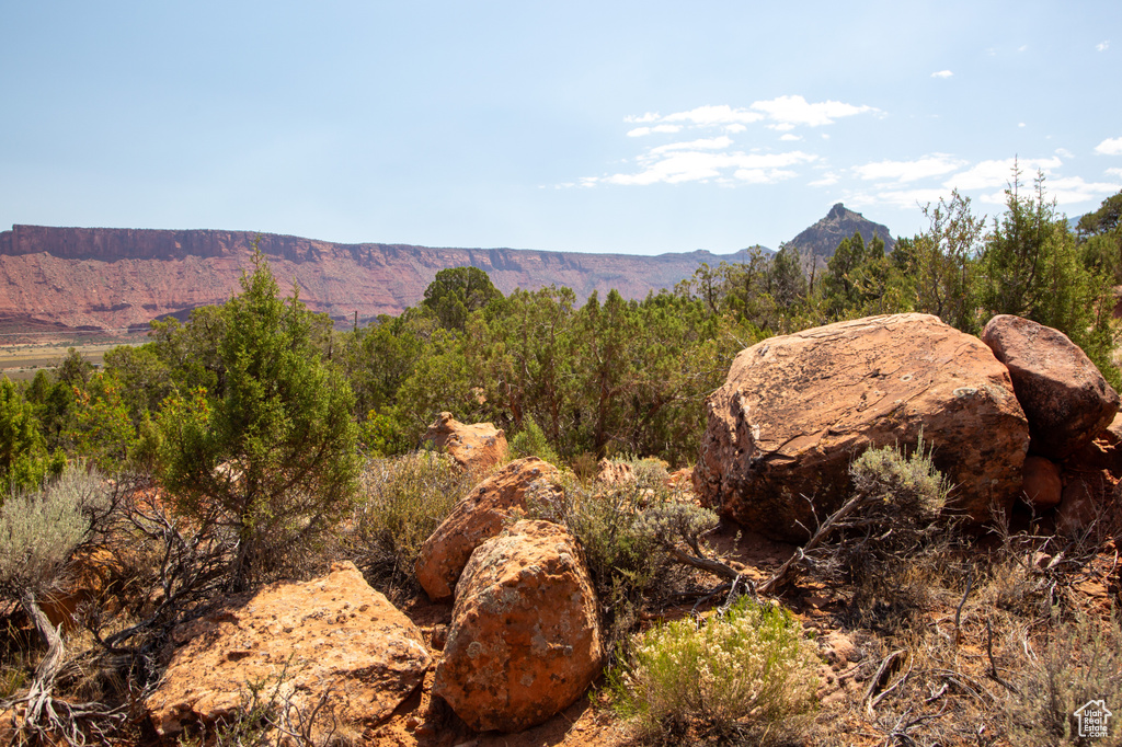 343  TAYLOR LN Castle Valley, UT 84532