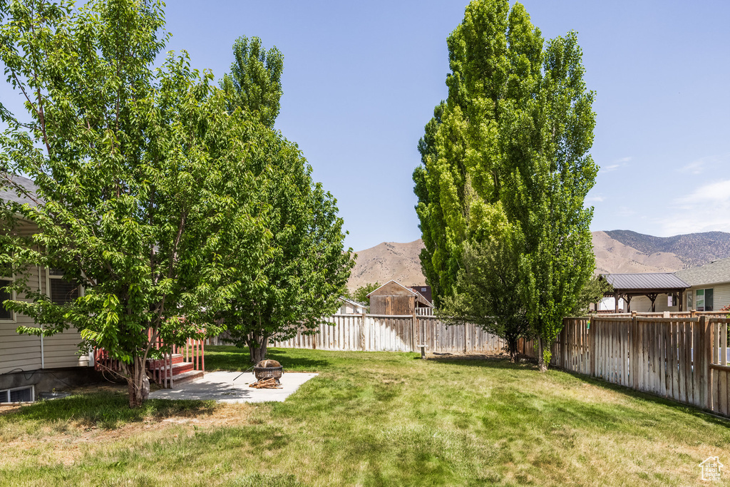 Fenced backyard featuring a mountain view and a patio area