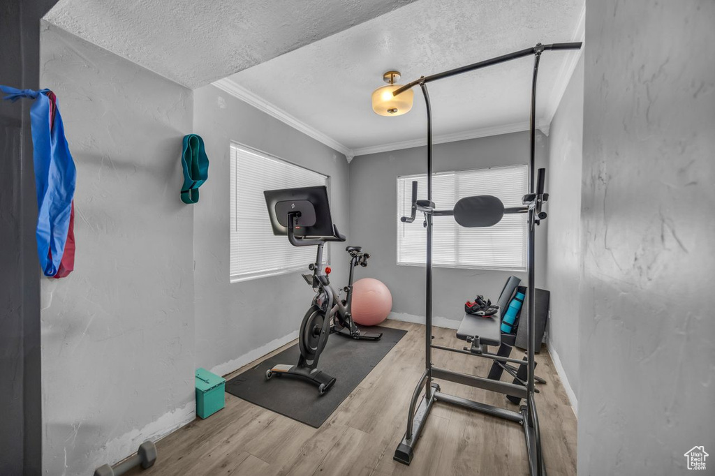 Exercise area featuring wood finished floors, a textured ceiling, and crown molding