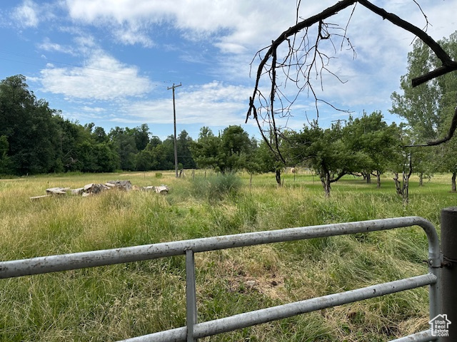 View of yard featuring a view of rural / pastoral area