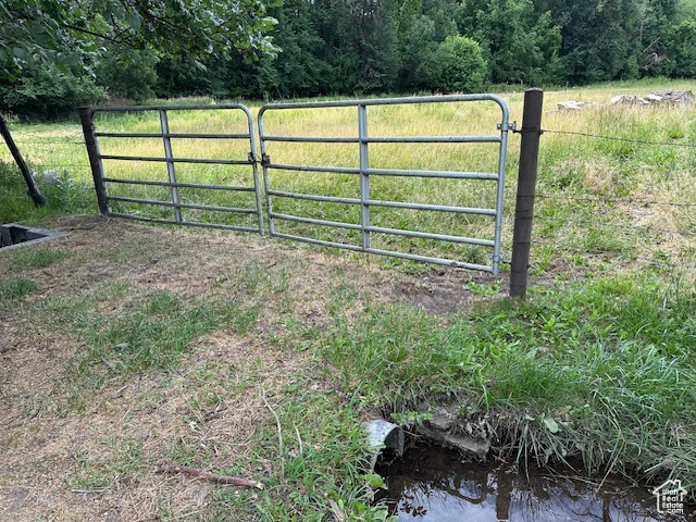 Gate with a forest view