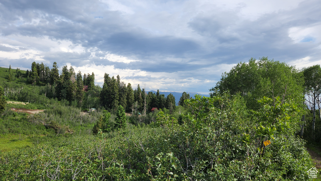 N 11750 E Fairview, UT 84629