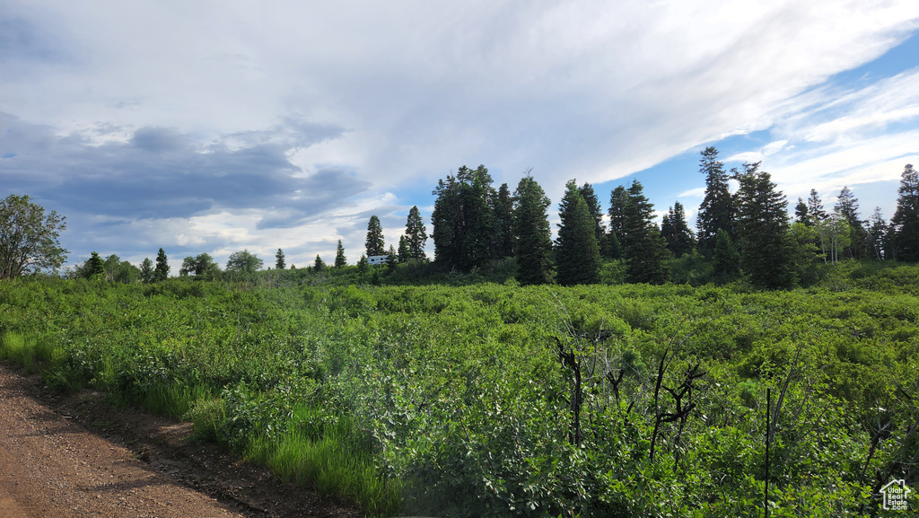 N 11750 E Fairview, UT 84629