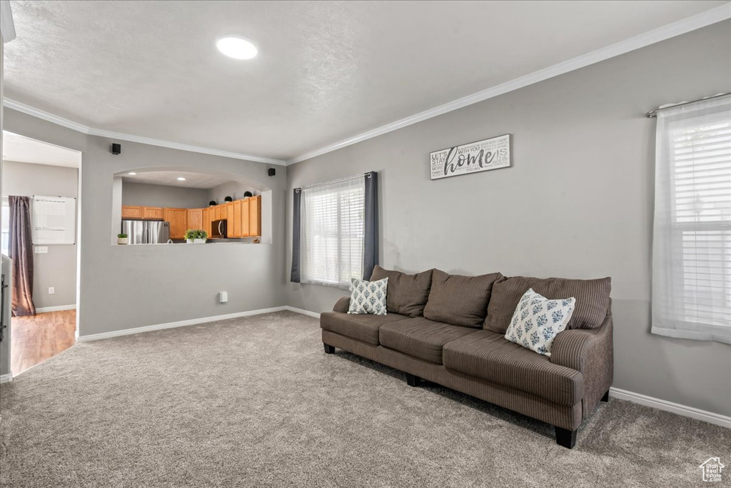 Carpeted living room with crown molding and arched walkways