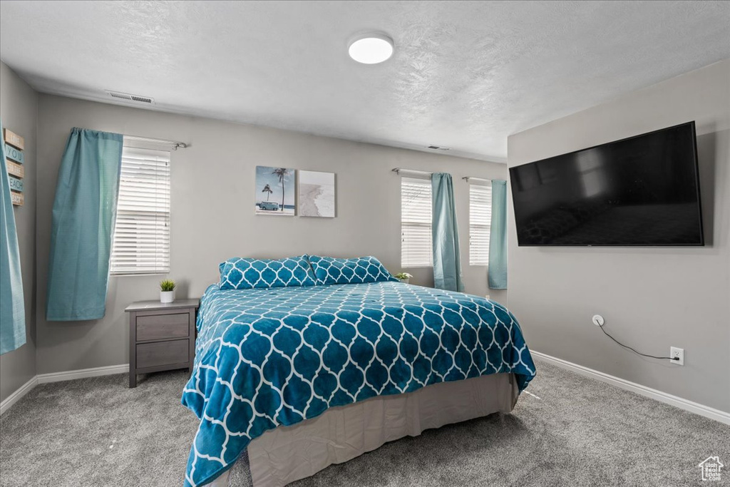 Bedroom featuring carpet, multiple windows, and a textured ceiling