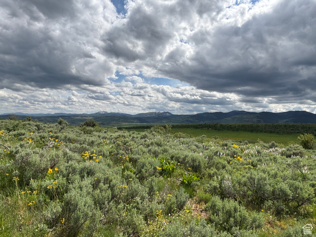 1300  MACARTHUR RD Montpelier, ID 83254