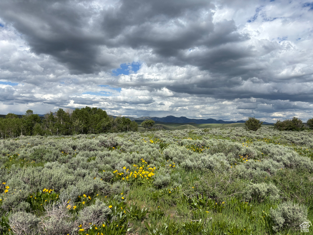 1300  MACARTHUR RD Montpelier, ID 83254