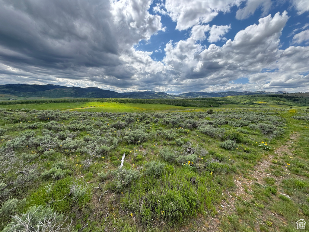 1300  MACARTHUR RD Montpelier, ID 83254