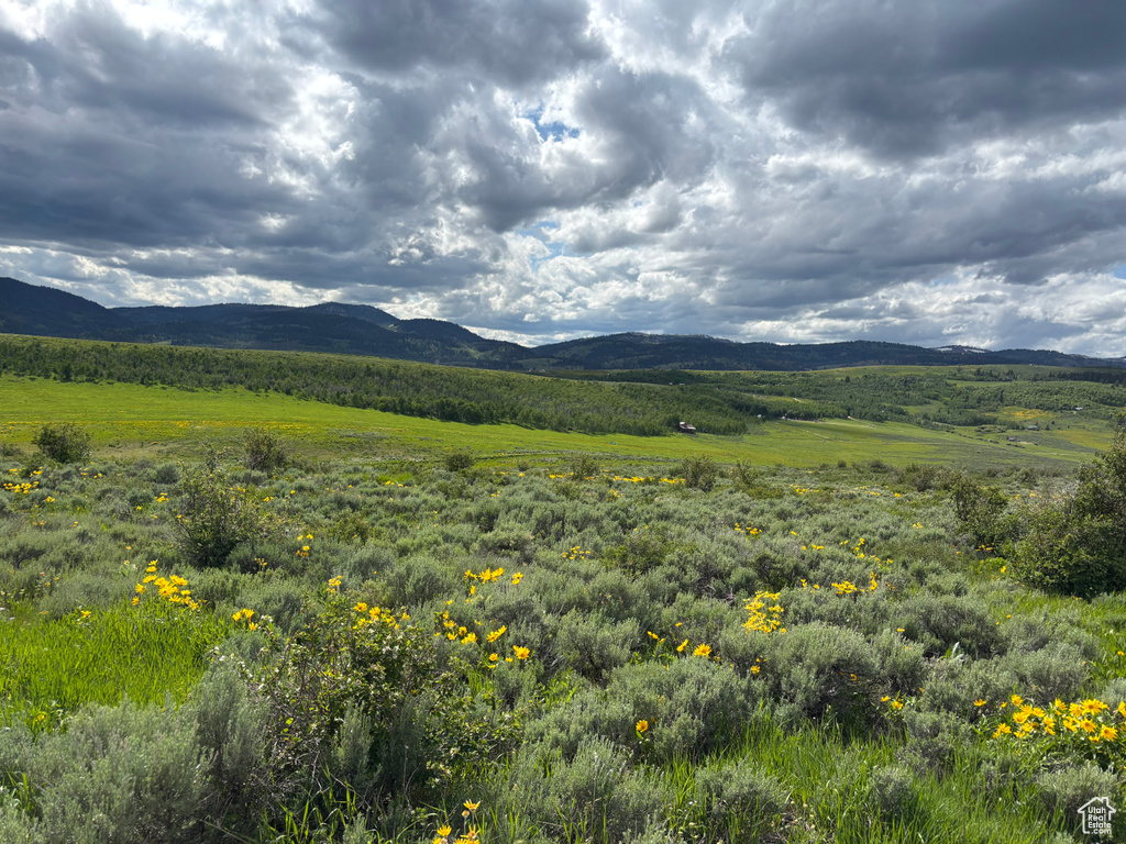 1300  MACARTHUR RD Montpelier, ID 83254