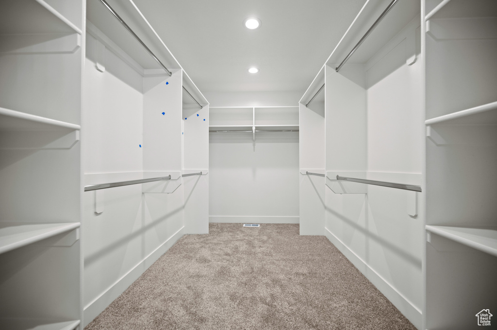 Spacious closet featuring carpet floors