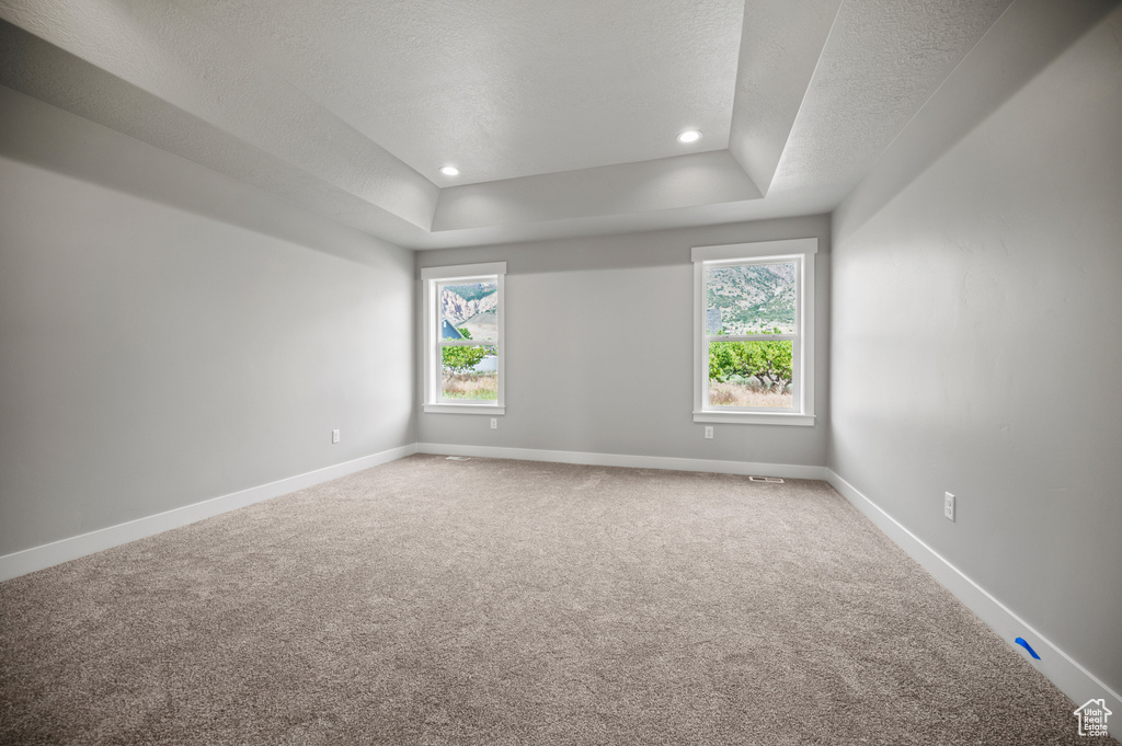Carpeted spare room featuring healthy amount of natural light, a raised ceiling, a textured ceiling, and recessed lighting