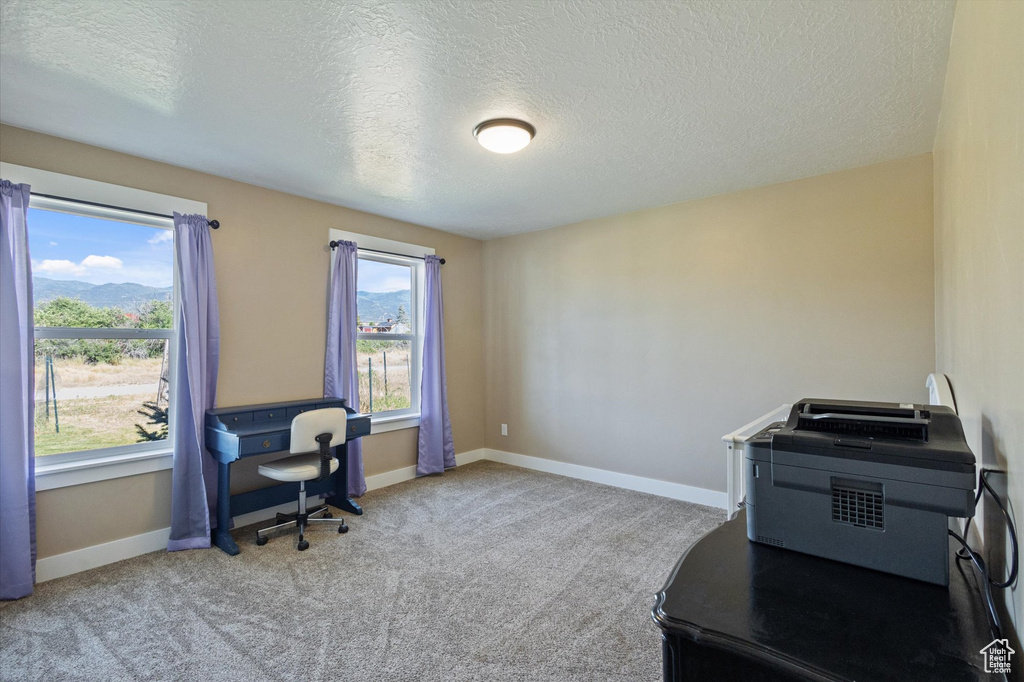 Office featuring a textured ceiling and carpet flooring