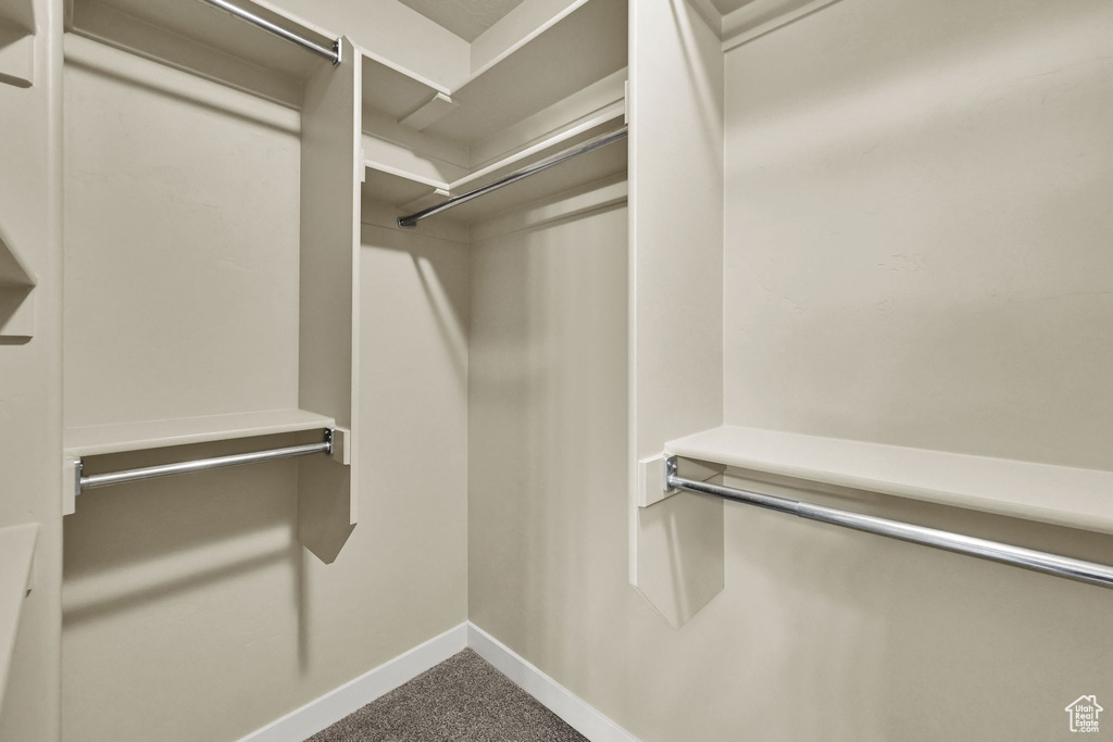 Spacious closet with carpet