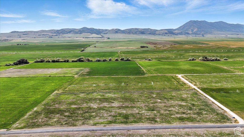 View of mountain background with rural landscape and rows of crops