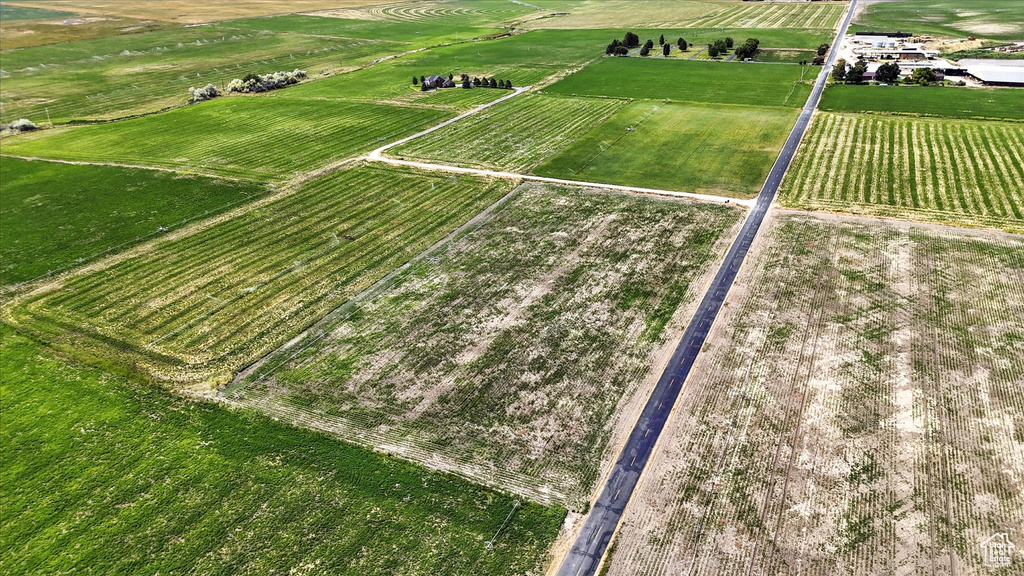 View of rural area featuring rows of crops