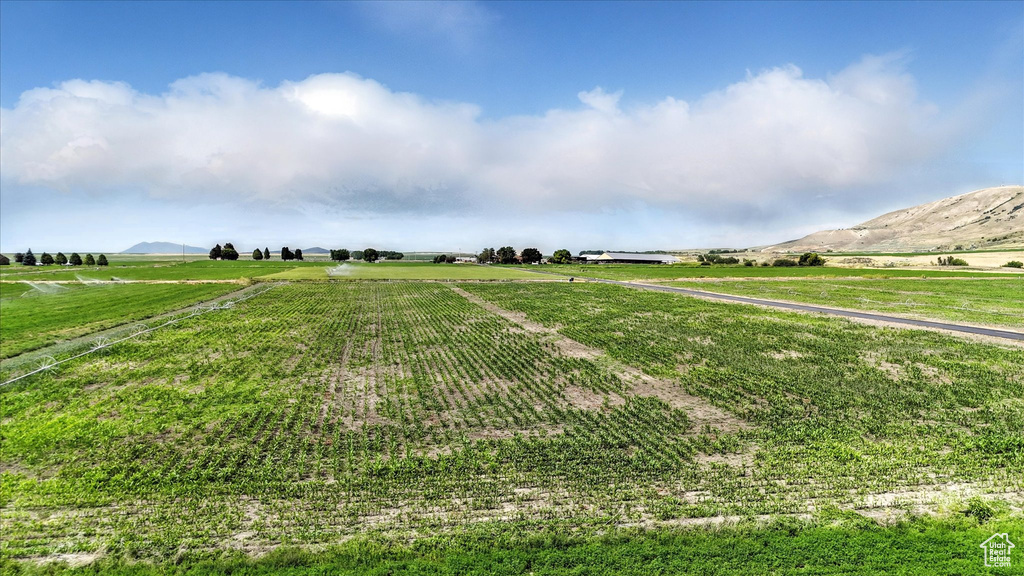 View of yard featuring a rural view, a mountain view, and agricultural plots