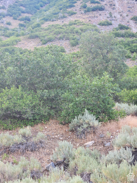 1691 E BOX ELDER CIR Alpine, UT 84004
