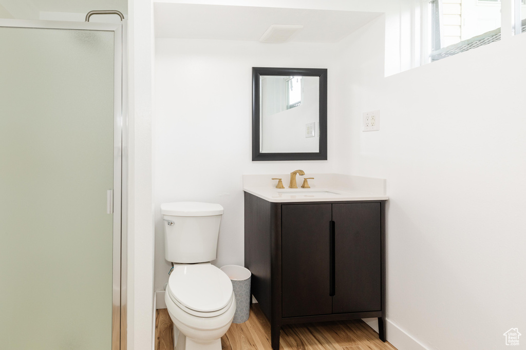 Full bathroom with wood finished floors, a stall shower, and vanity