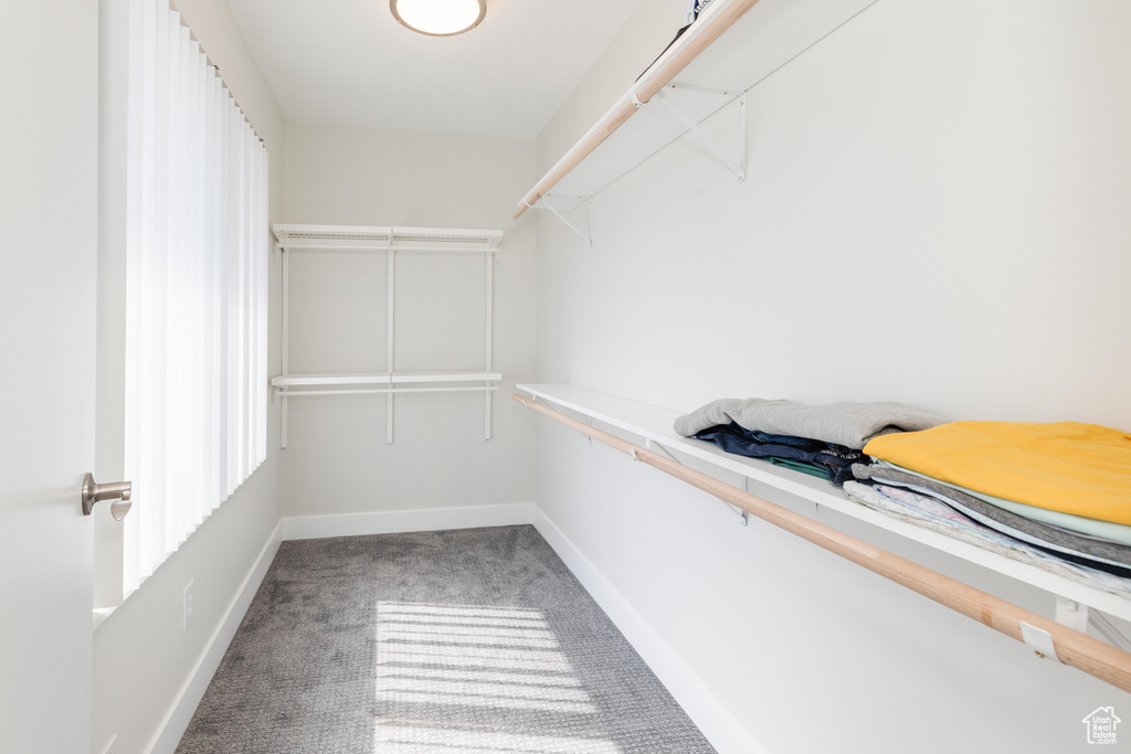 Spacious closet with carpet