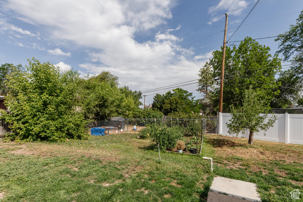 View of fenced yard