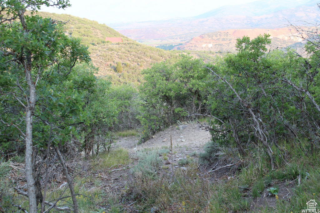 1421 S BEAVER BENCH Heber City, UT 84032