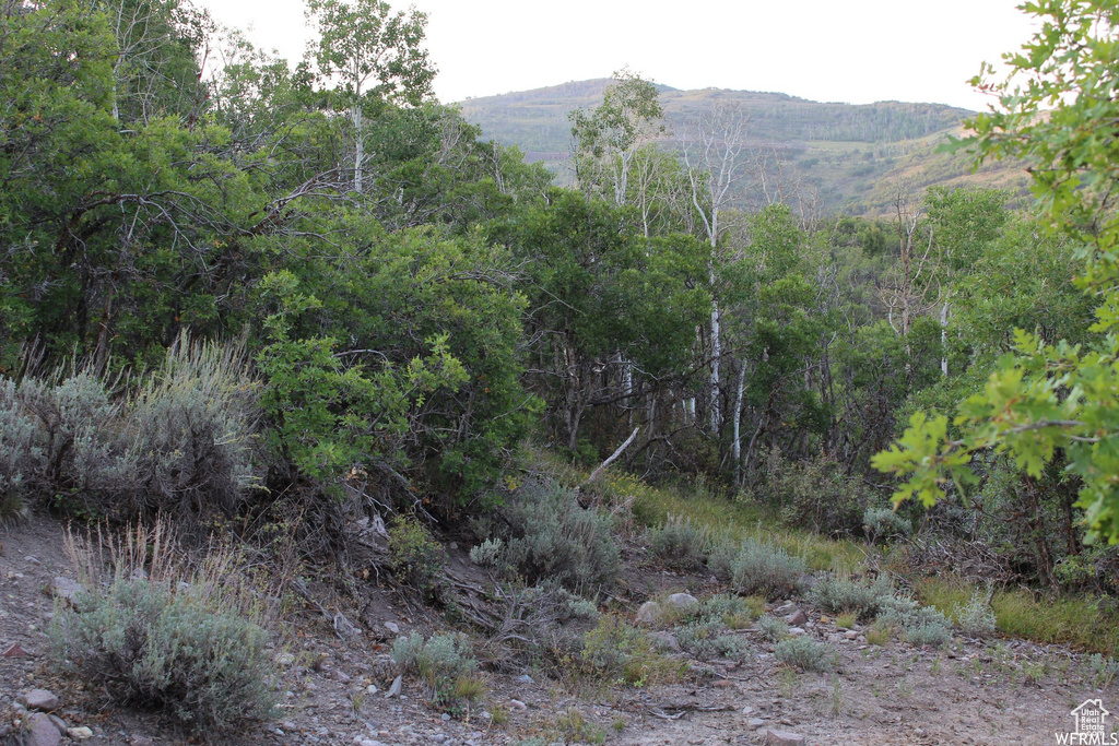 1421 S BEAVER BENCH Heber City, UT 84032