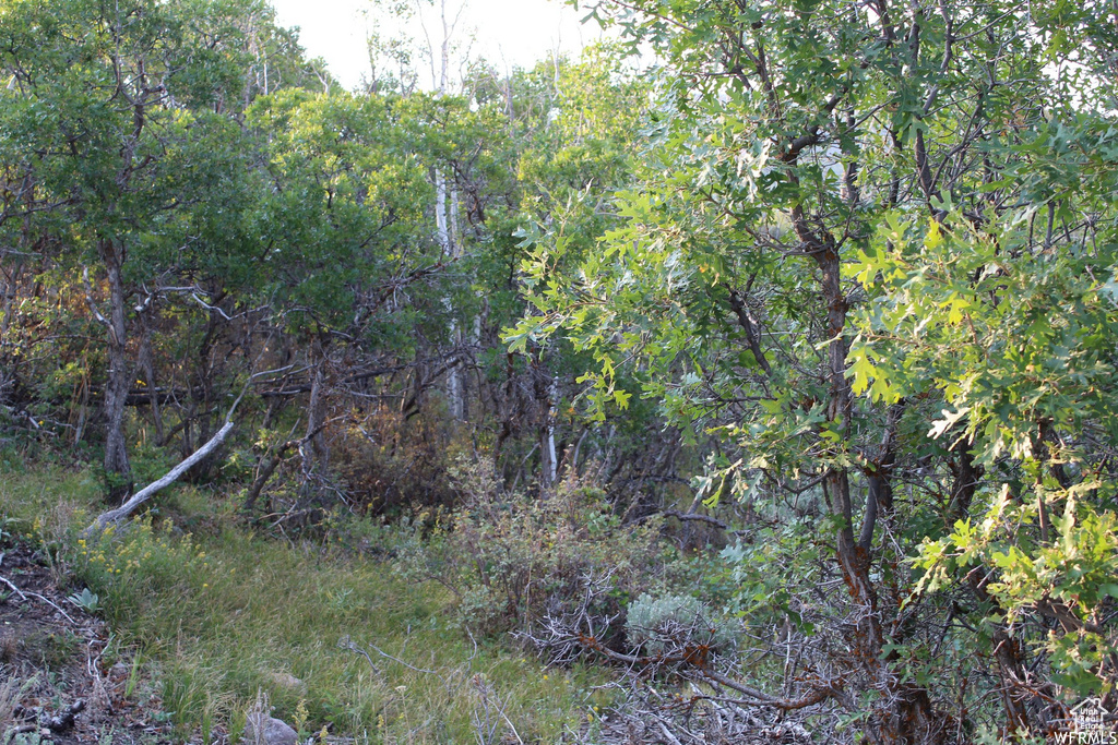 1421 S BEAVER BENCH Heber City, UT 84032