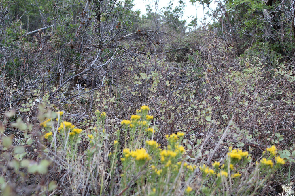 1421 S BEAVER BENCH Heber City, UT 84032