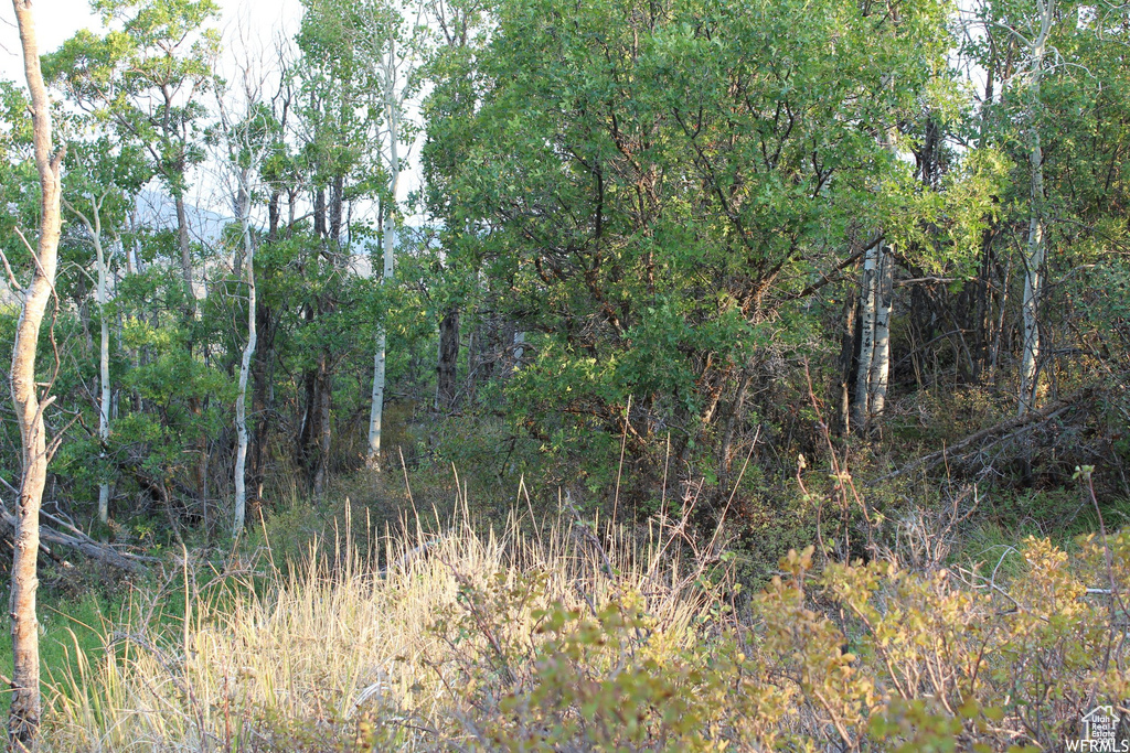 1421 S BEAVER BENCH Heber City, UT 84032