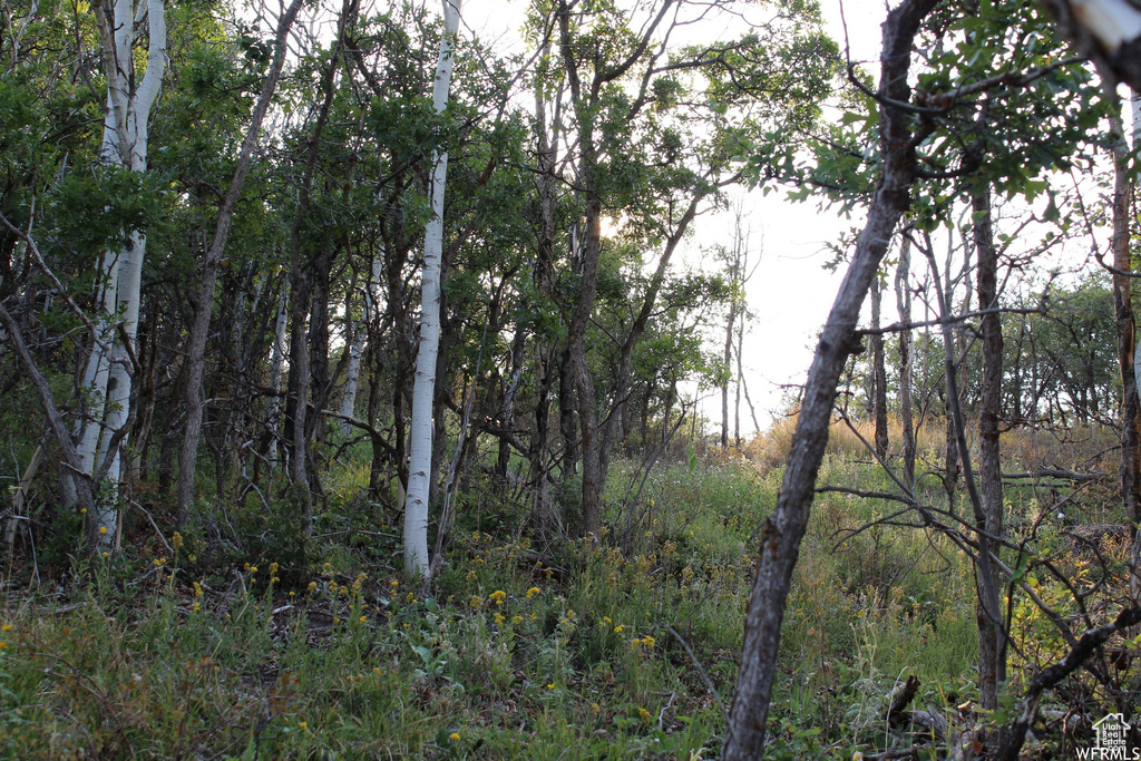 1421 S BEAVER BENCH Heber City, UT 84032