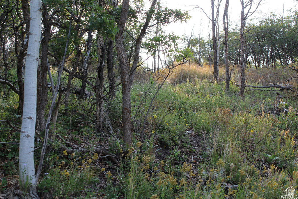 1421 S BEAVER BENCH Heber City, UT 84032