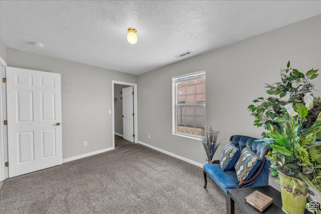 Living area with carpet and a textured ceiling