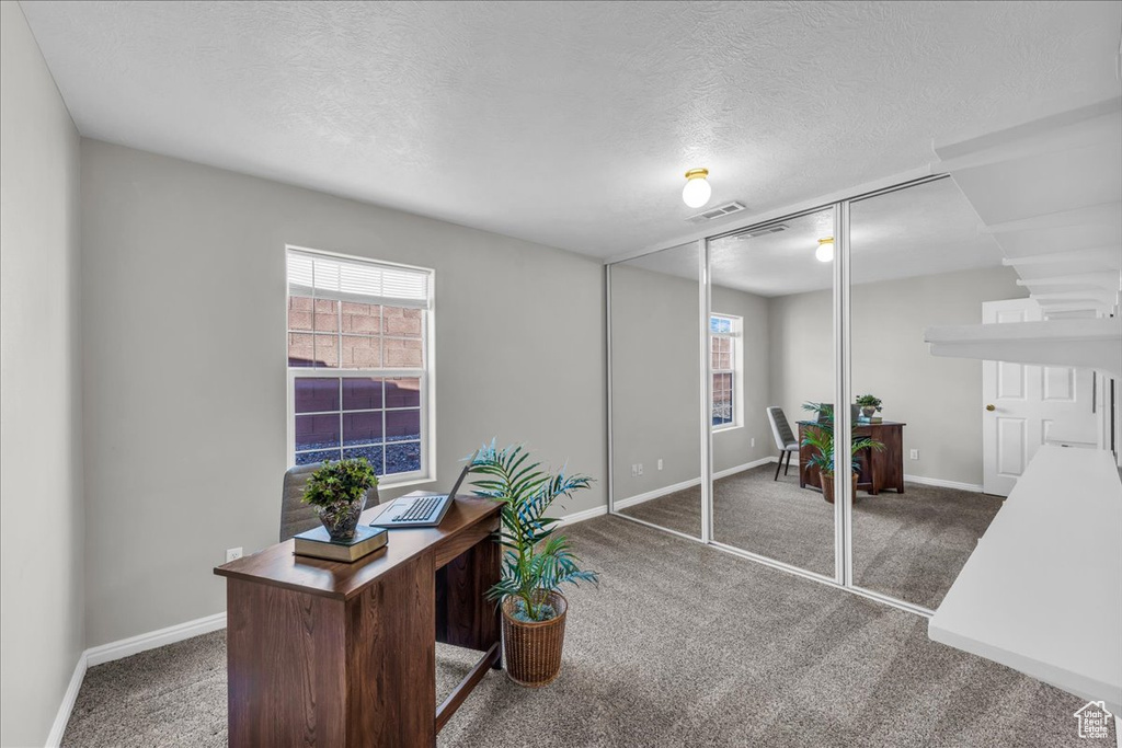 Home office featuring carpet, healthy amount of natural light, and a textured ceiling