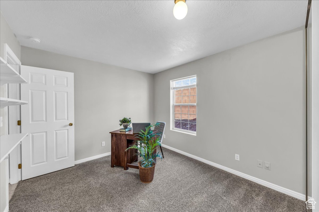 Office area with carpet floors and a textured ceiling