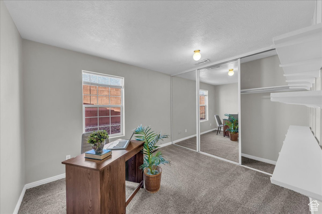 Office area with carpet floors, plenty of natural light, and a textured ceiling
