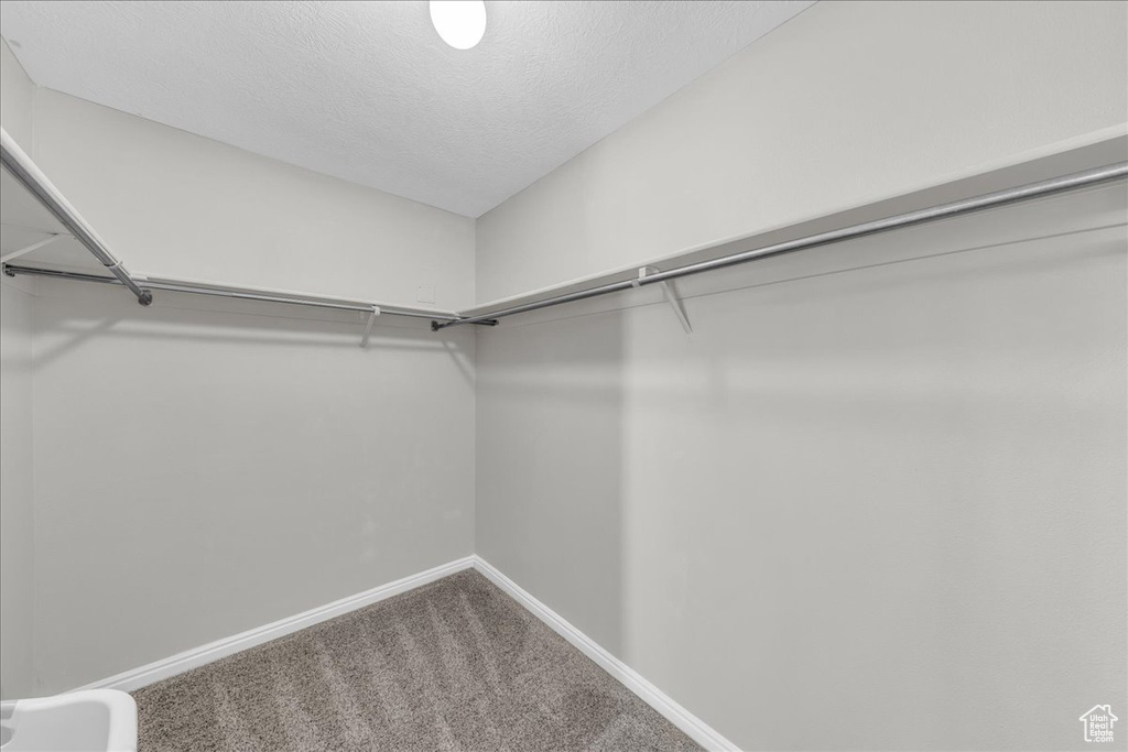Spacious closet featuring carpet flooring