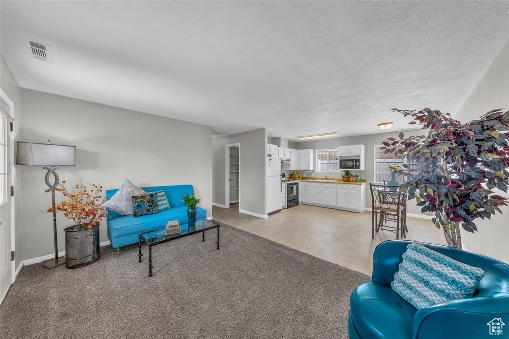 Living room featuring baseboards and a textured ceiling