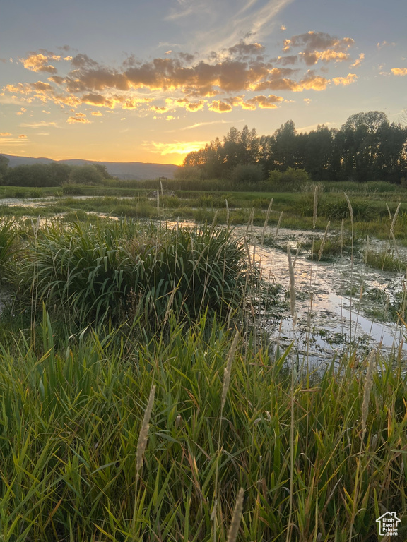 4445 N MILLRACE RD Oakley, UT 84055
